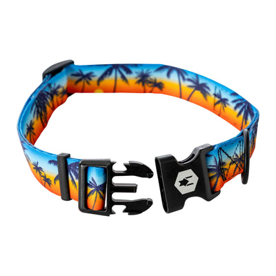 SunsetPalms Dog Collar