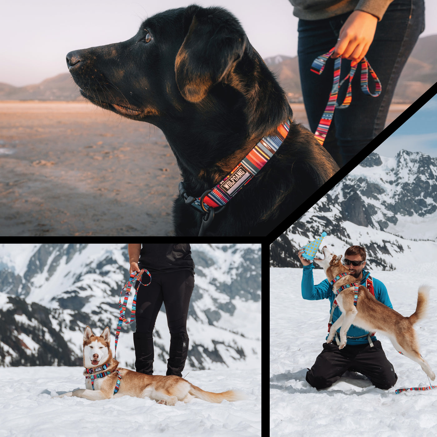 Quetzal Dog Leash