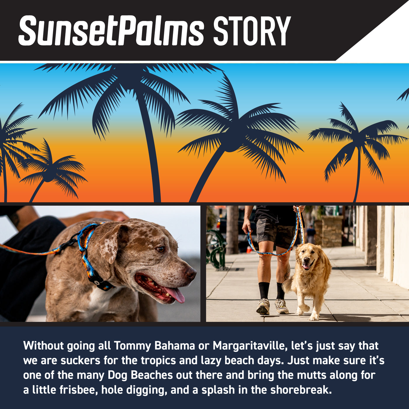 SunsetPalms Wide Dog Collar