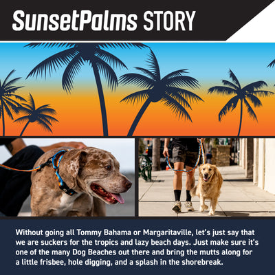 SunsetPalms Wide Dog Collar