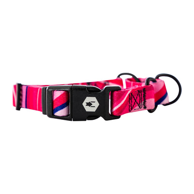 MarbleSwirl Martingale Dog Collar