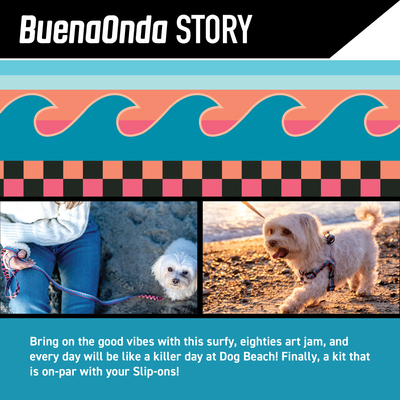 BuenaOnda DOG LEASH