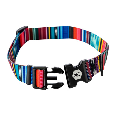Quetzal Dog Collar