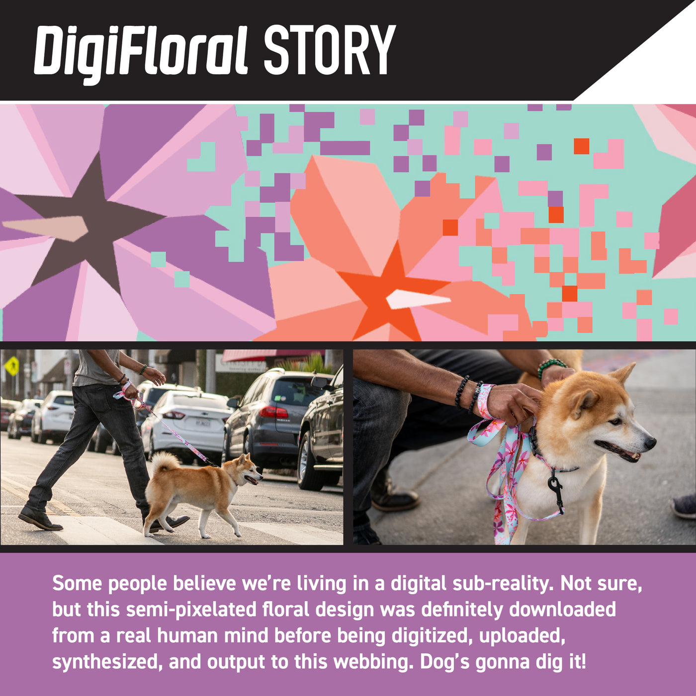 DigiFloral Dog Leash