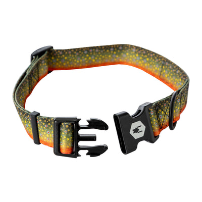BrookTrout Dog Collar