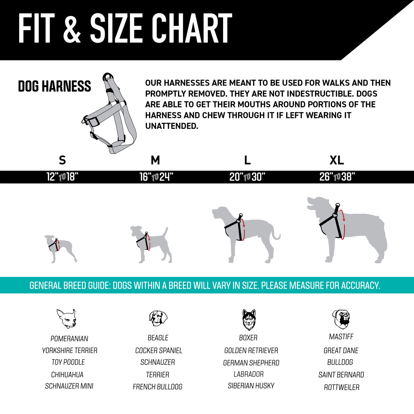 LosMuertos Dog Harness