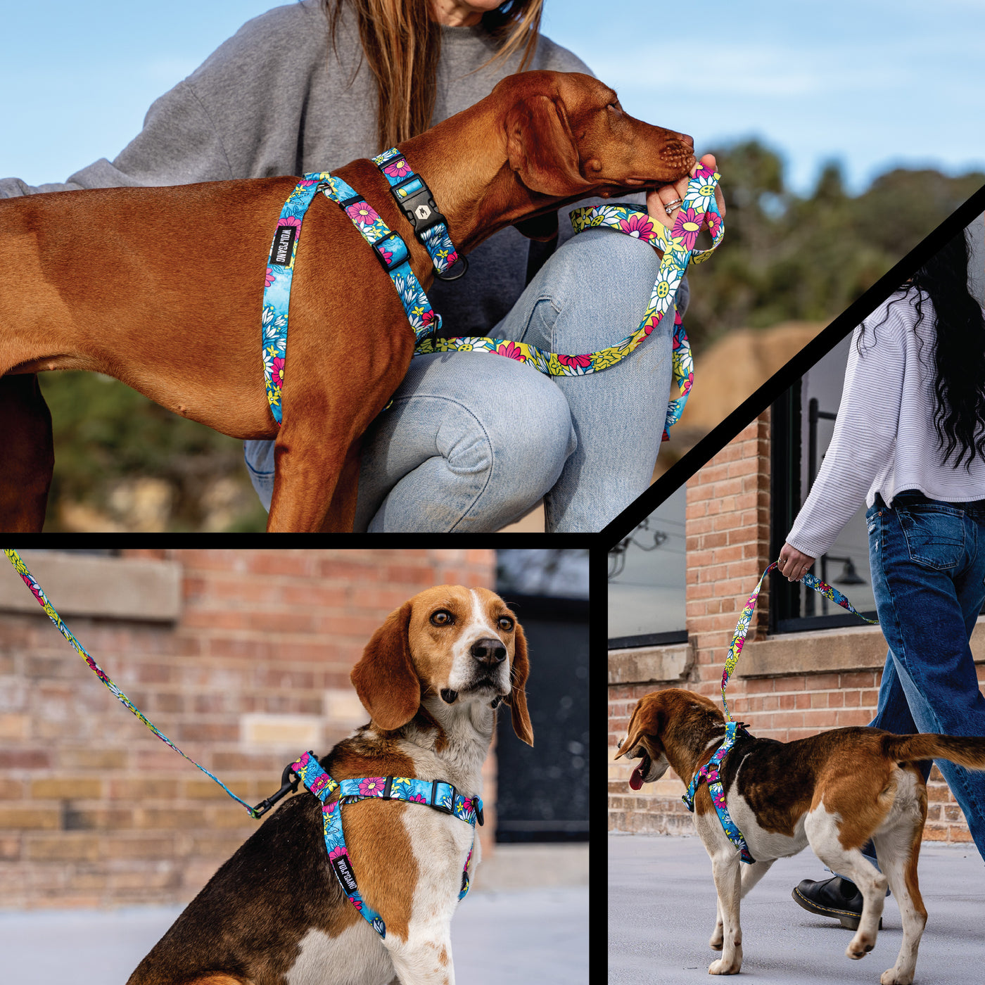 LazyDaisy COMFORT DOG HARNESS