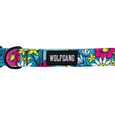LazyDaisy Dog Collar