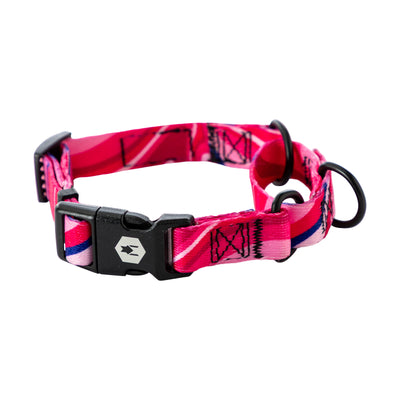 MarbleSwirl Martingale Dog Collar