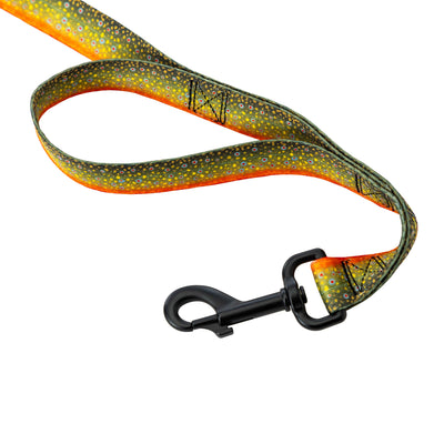 BrookTrout Dual Handle React Dog Leash
