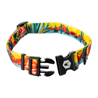 PackLeader Dog Collar