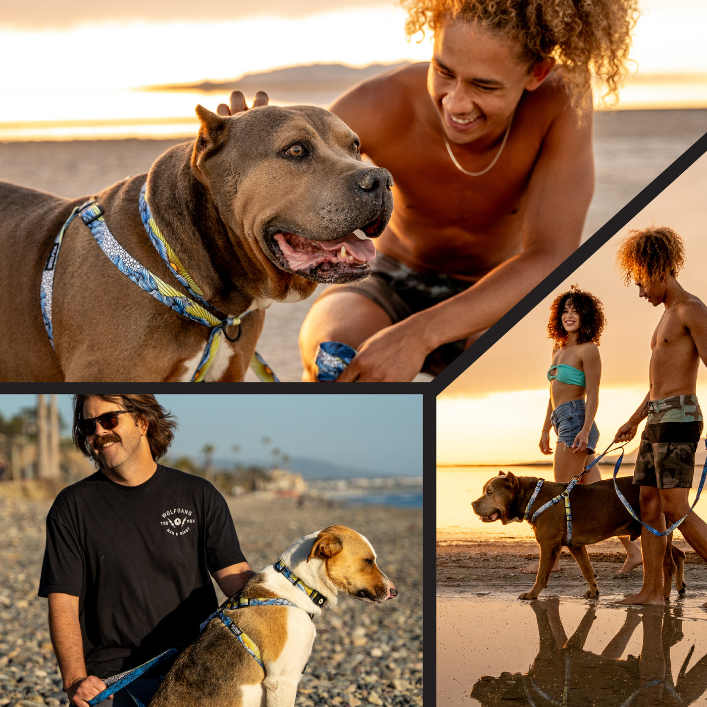 DawnPatrol Comfortable Dog Harness