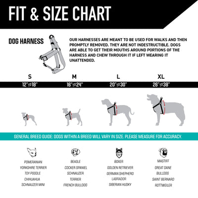 LostArt Dog Harness