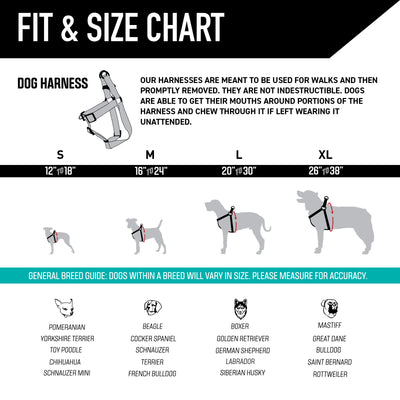 NewMoon Dog Harness