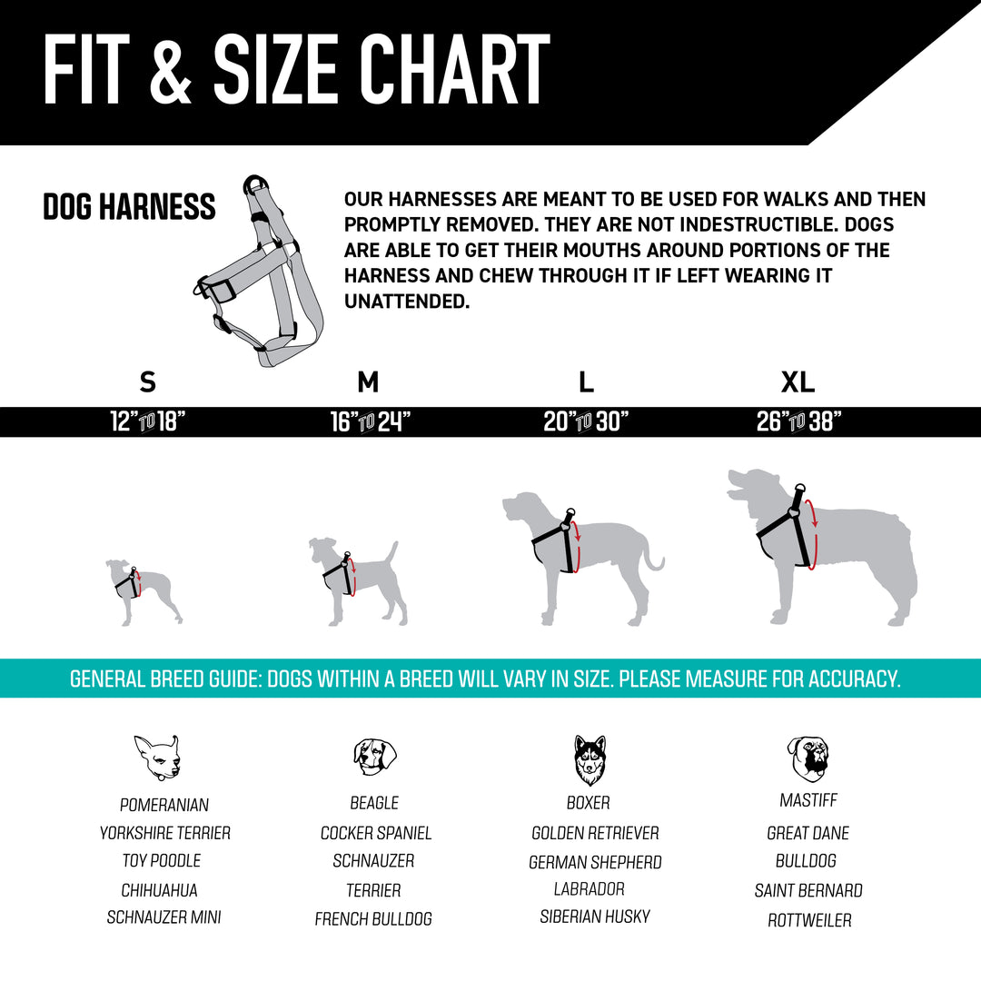 WildWolf Comfort Dog Harness | Wolfgang