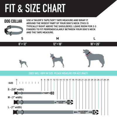 MixTape Dog Collar