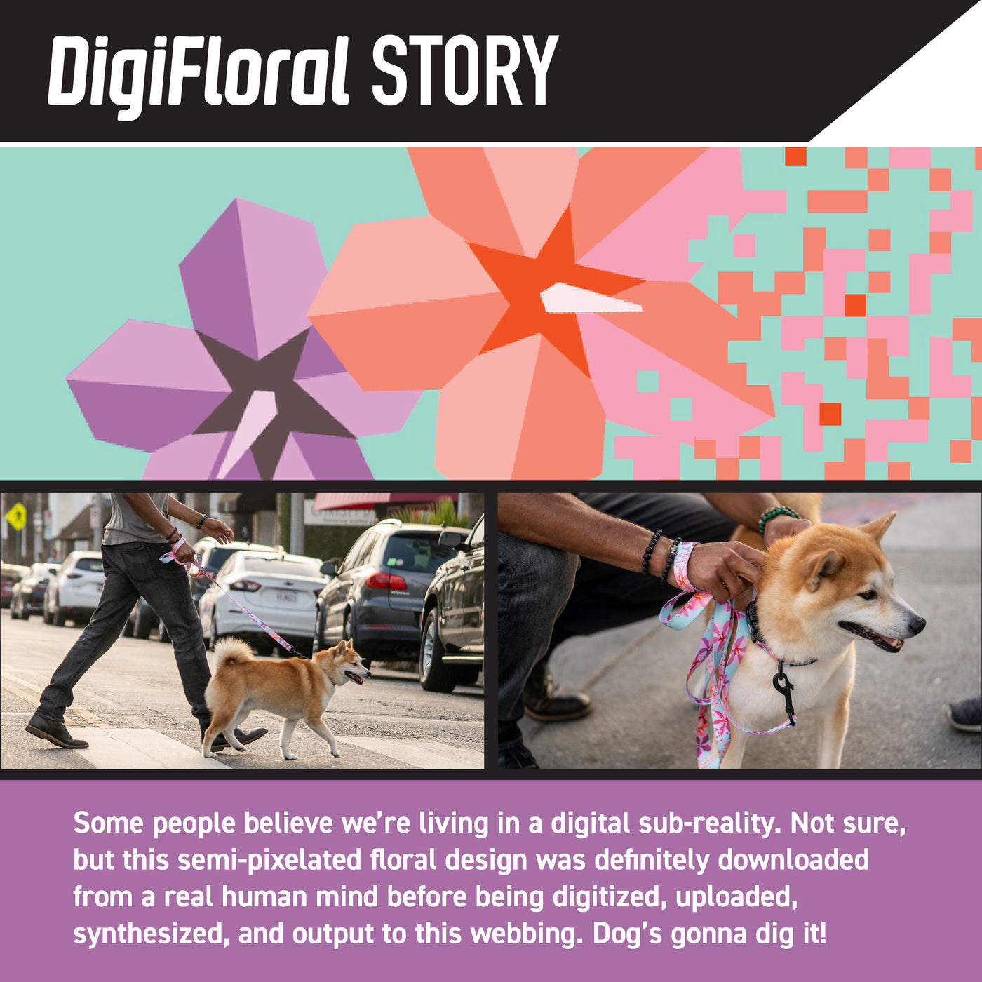 DigiFloral Dog Collar