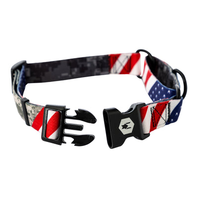 DigitalDog MARTINGALE DOG COLLAR