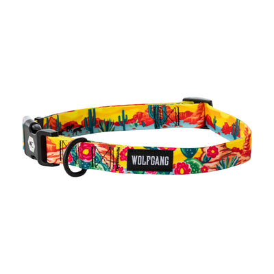 PackLeader Dog Collar