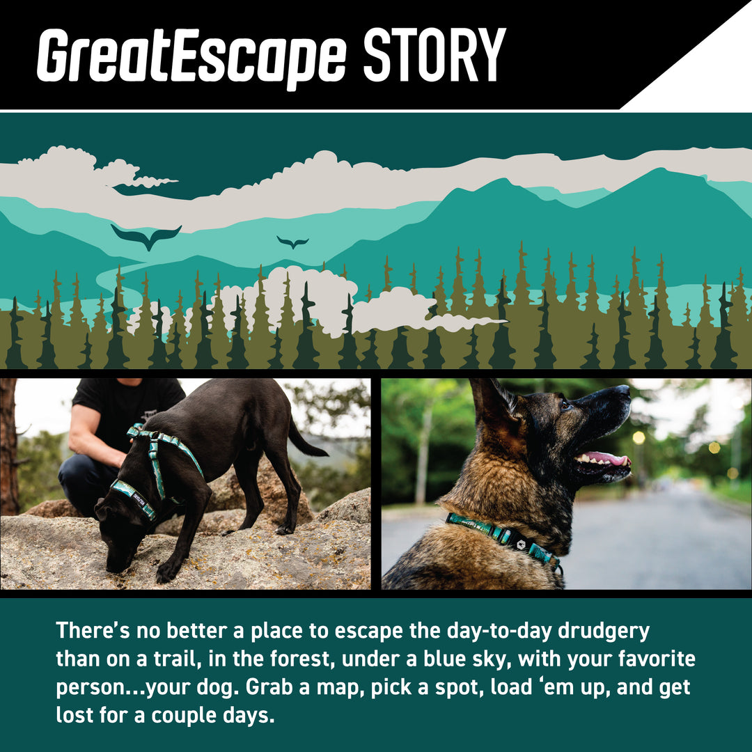 GreatEscape Wide Dog Collar – Wolfgang