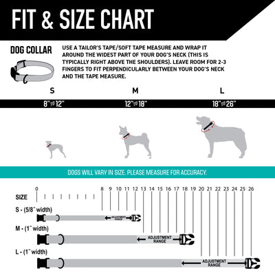 LostArt Dog Collar