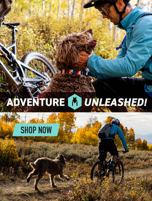 Wolfgang | Dog Collars, Dog Leashes & Dog Harnesses