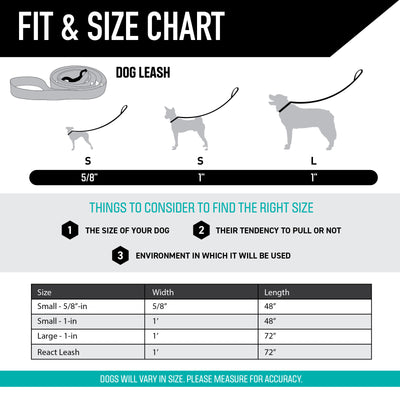 LazyDaisy Dog Leash