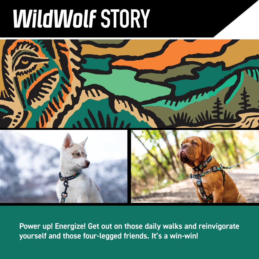 WildWolf Comfort Dog Harness | Wolfgang