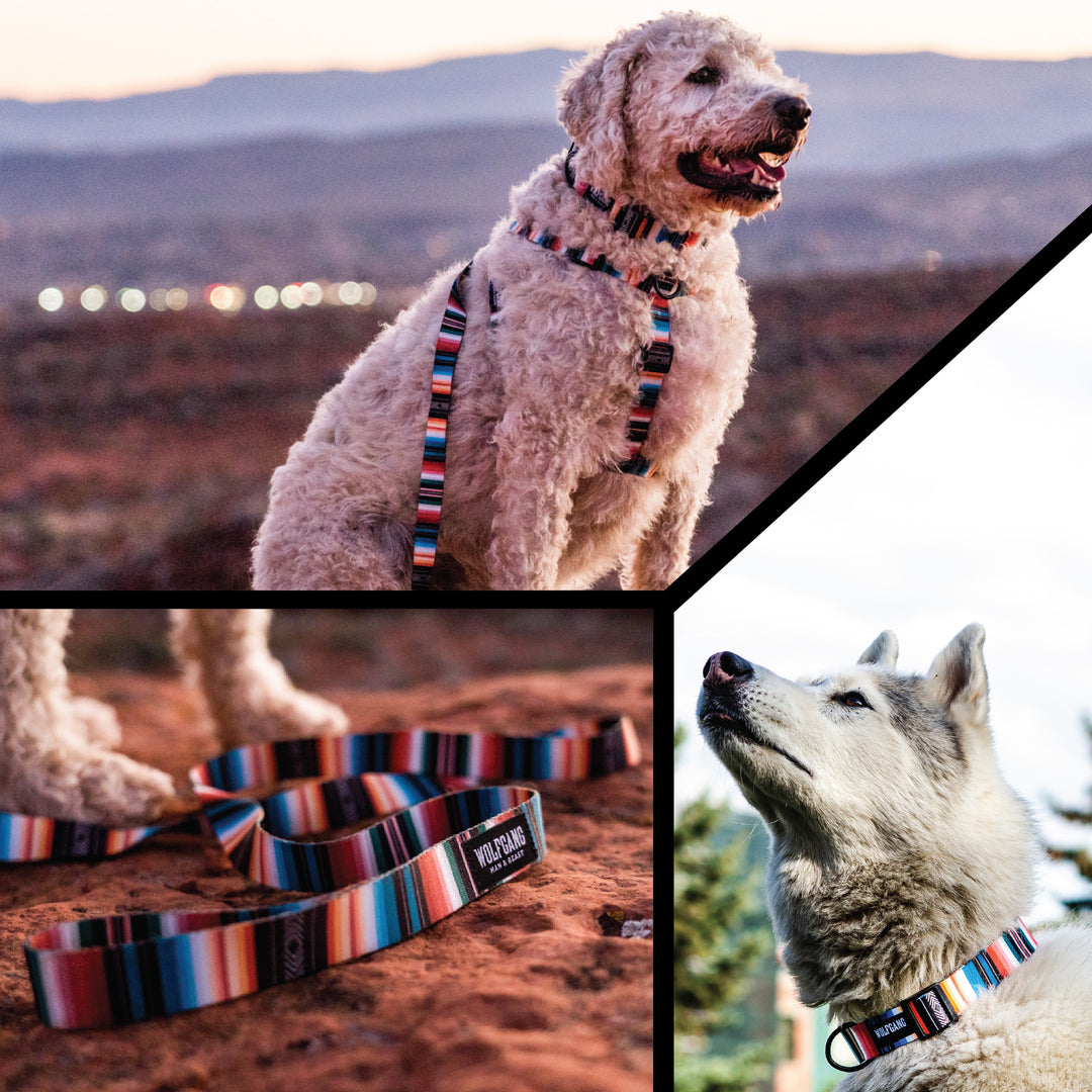 LostArt Design Dog Leash | Wolfgang Man & Beast