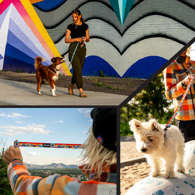 MountainVibes Dog Leash