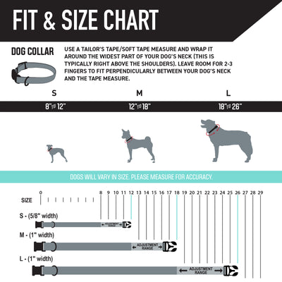 PackLeader Dog Leash