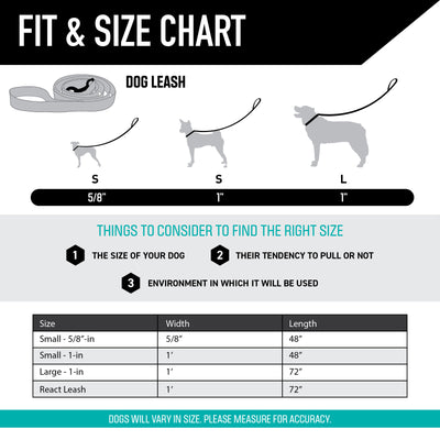 LostArt Dog Leash