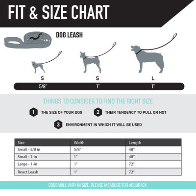 BrookTrout Dog Leash