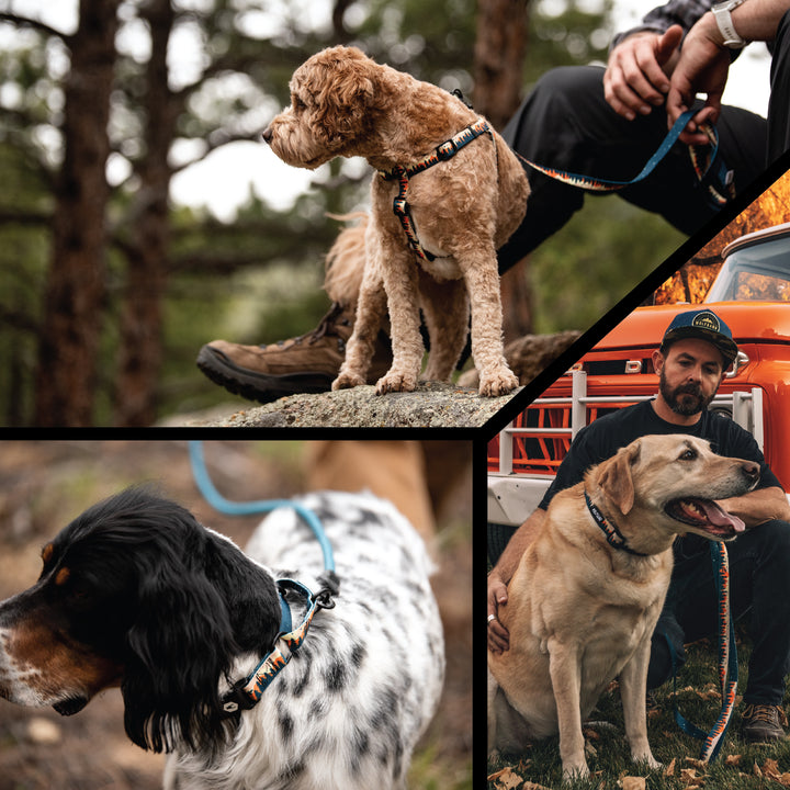 Comfortable Dog Harness OverLand Design – Wolfgang