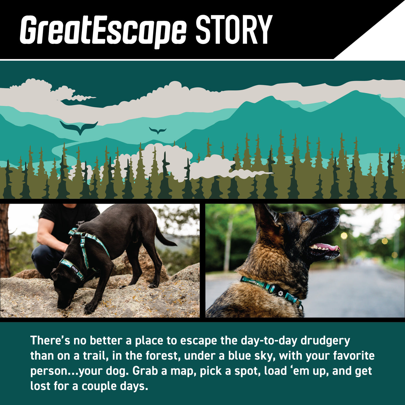 GreatEscape Dog Harness