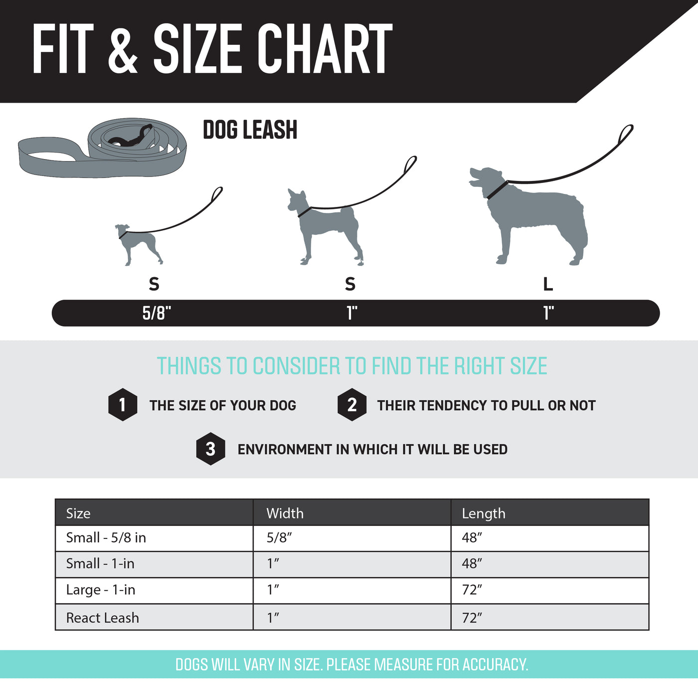 DawnPatrol Dog Leash