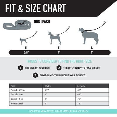 DawnPatrol Dog Leash