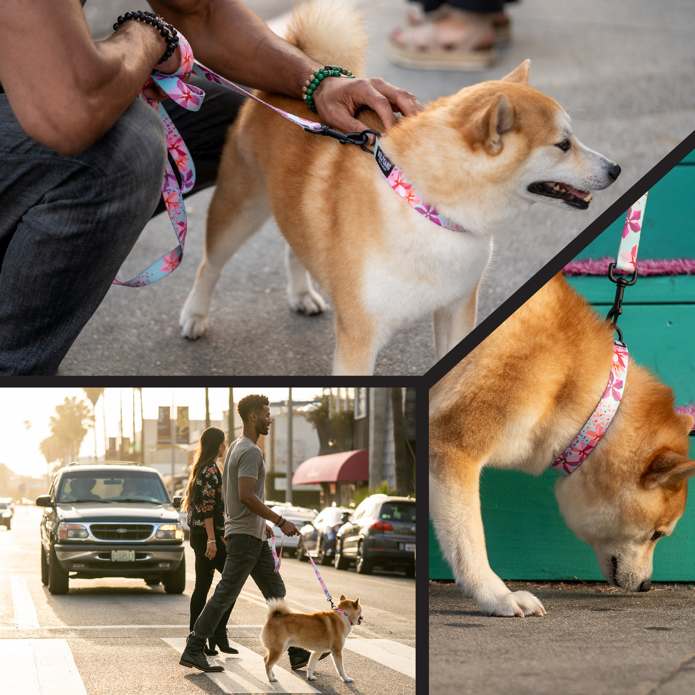 DigiFloral Dog Leash