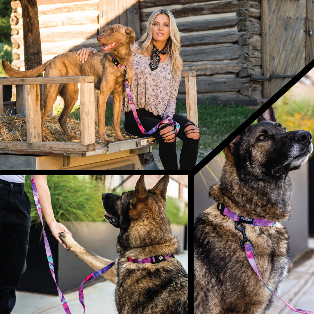 DayDream Comfort Dog Harness | Wolfgang Man & Beast