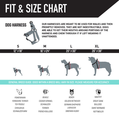 DawnPatrol Comfortable Dog Harness