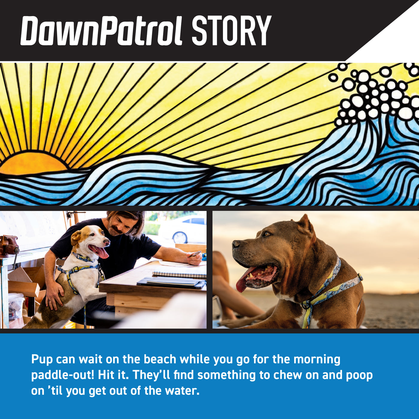 DawnPatrol Dog Leash