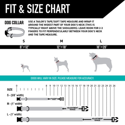 NewMoon Dog Collar
