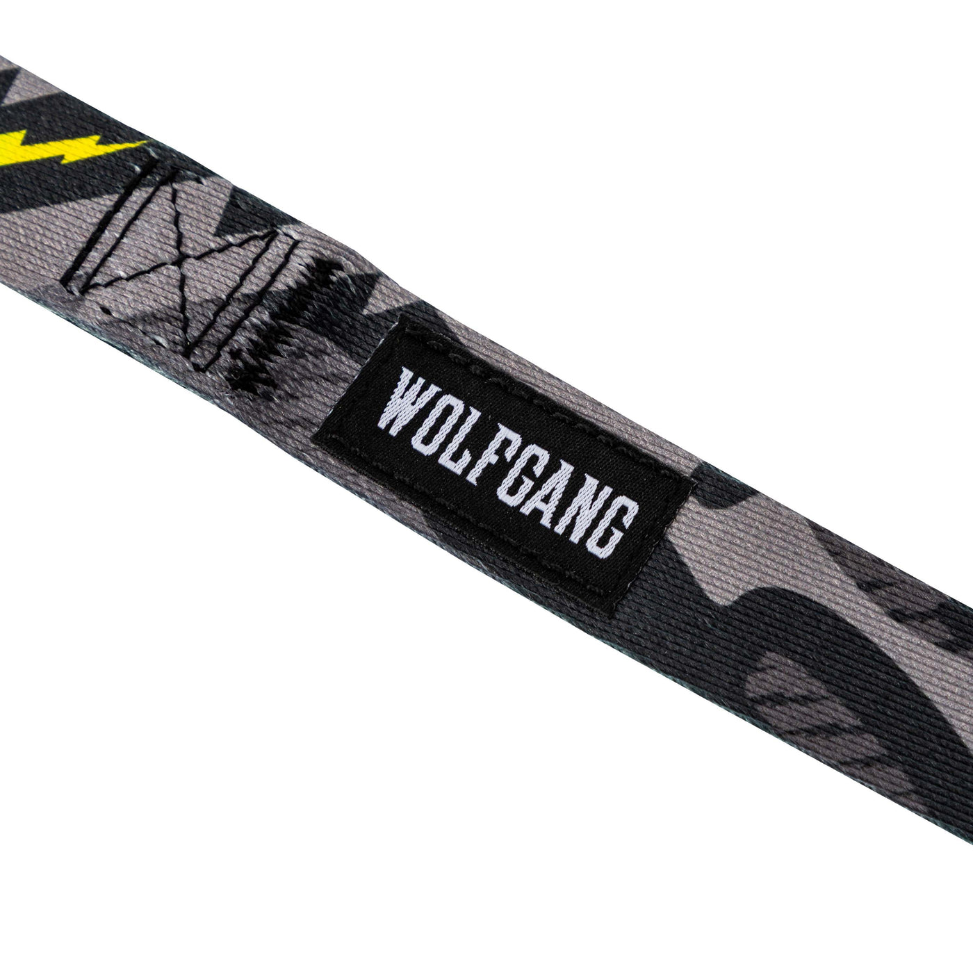 DarkSkies Dog Leash