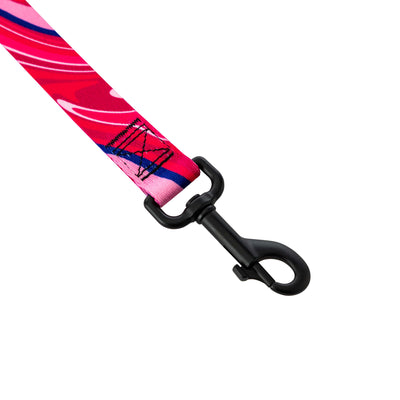 MarbleSwirl Dog Leash