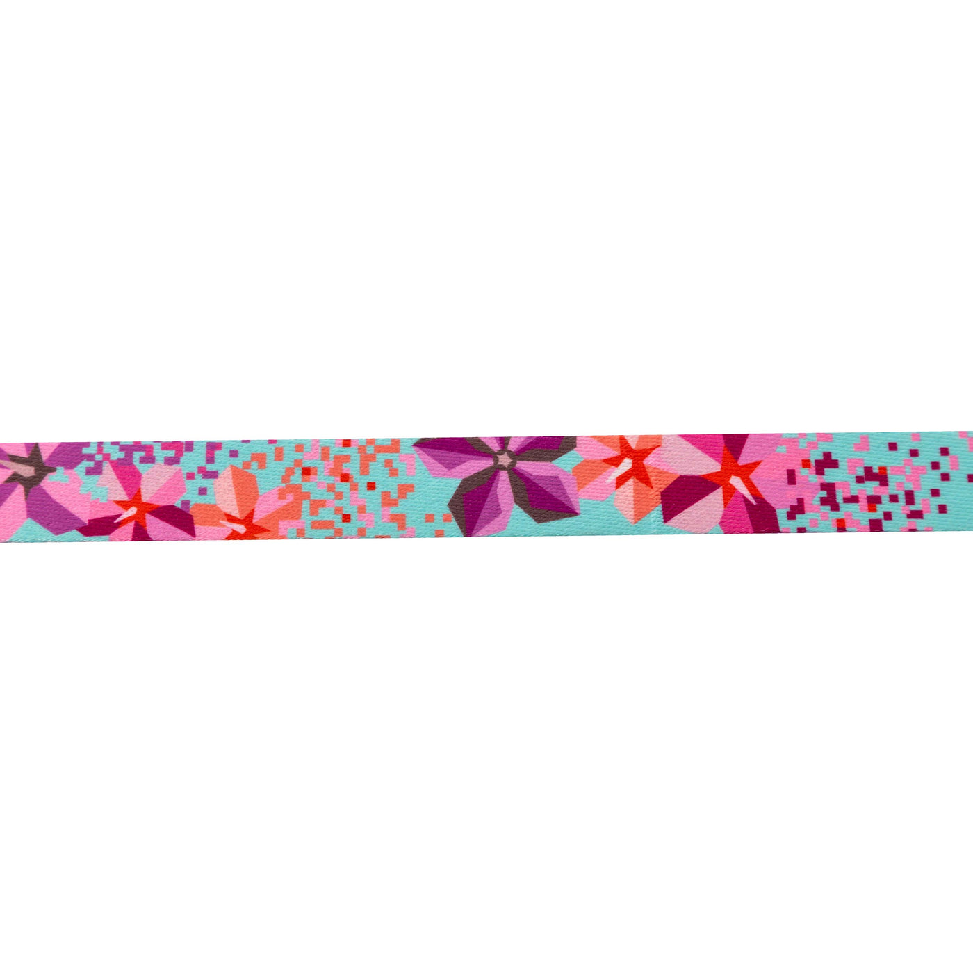 DigiFloral REACT DUAL-HANDLE DOG LEASH