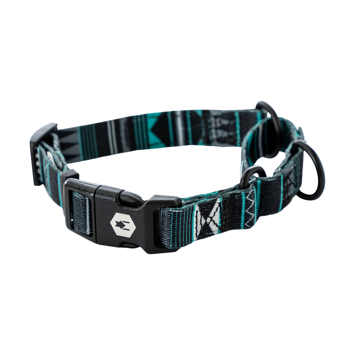 WesternSky Martingale Dog Collar