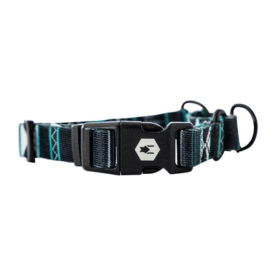 WesternSky Martingale Dog Collar