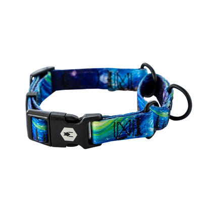 StarryWolf MARTINGALE DOG COLLAR
