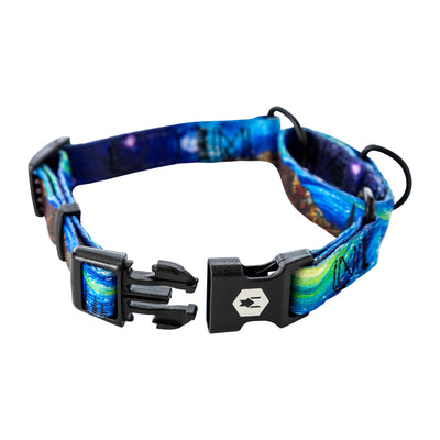 StarryWolf MARTINGALE DOG COLLAR