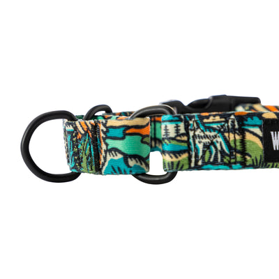 WildWolf MARTINGALE DOG COLLAR